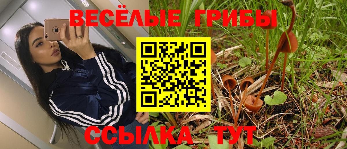 Галлюциногенные грибы Cubensis  Вход с VPN  Асбест  Псилоцибиновые грибы прущие грибы 